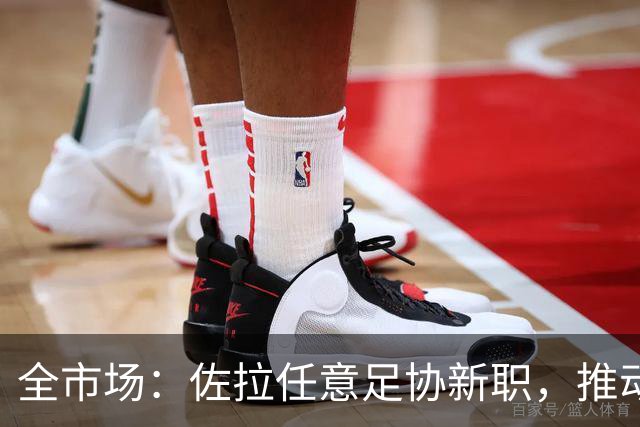 全市场：佐拉任意足协新职，推动意大利青训改革