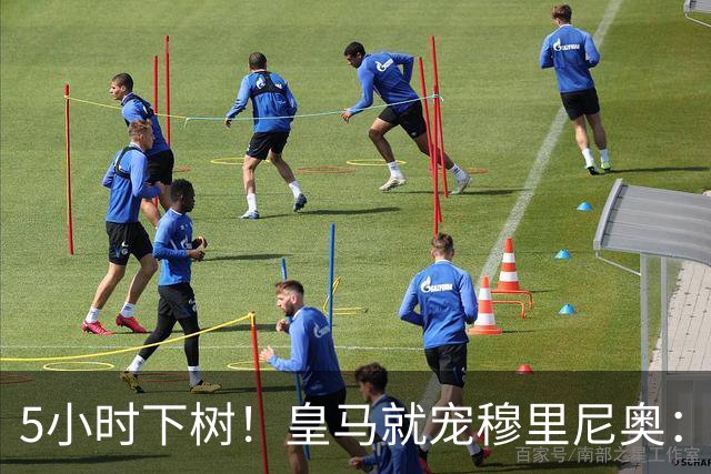 5小时下树！皇马就宠穆里尼奥：第5名新援到位，还有3大目标